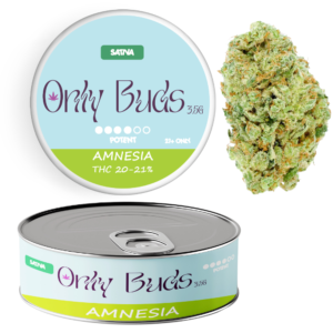 Amnesia Strain Sativa THC CBD BUDS FLOWER UK