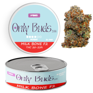 Milk Bone F2 Strain Hybrid THC CBD BUDS FLOWER UK