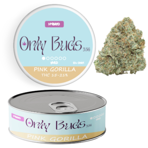 Pink Gorilla Strain Hybrid THC CBD BUDS FLOWER UK