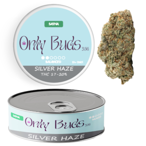 Silver Haze Strain Sativa THC CBD BUDS FLOWER UK