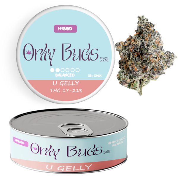 U Gelly Strain Hybrid THC CBD BUDS FLOWER UK