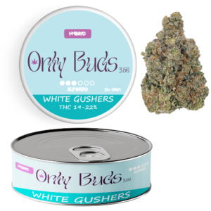 White Gushers Strain Hybrid THC CBD BUDS FLOWER UK