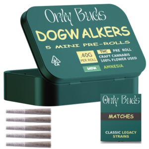 Amnesia Dogwalkers THC Pre Rolls UK online