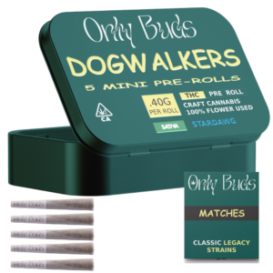 Stardawg Dogwalkers THC Pre Rolls UK online